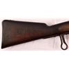 Image 8 : Malherbe Fortress Rifle