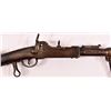 Image 9 : Malherbe Fortress Rifle