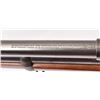 Image 8 : Winchester Model 52 .22 Long Rifle
