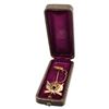 Image 1 : Native Daughters of the Golden West 14k Gold Pin