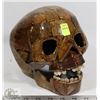 Image 1 : DECORATIVE SKULL