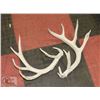 Image 1 : PAIR OF SHED DEER ANTLERS