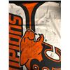Image 2 : TEAM AUTOGRAPHED BC LIONS MEMORABILIA LOT