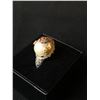Image 2 : PEARL BAROQUE FROG RING (925 STERLING SILVER) SIZE 5