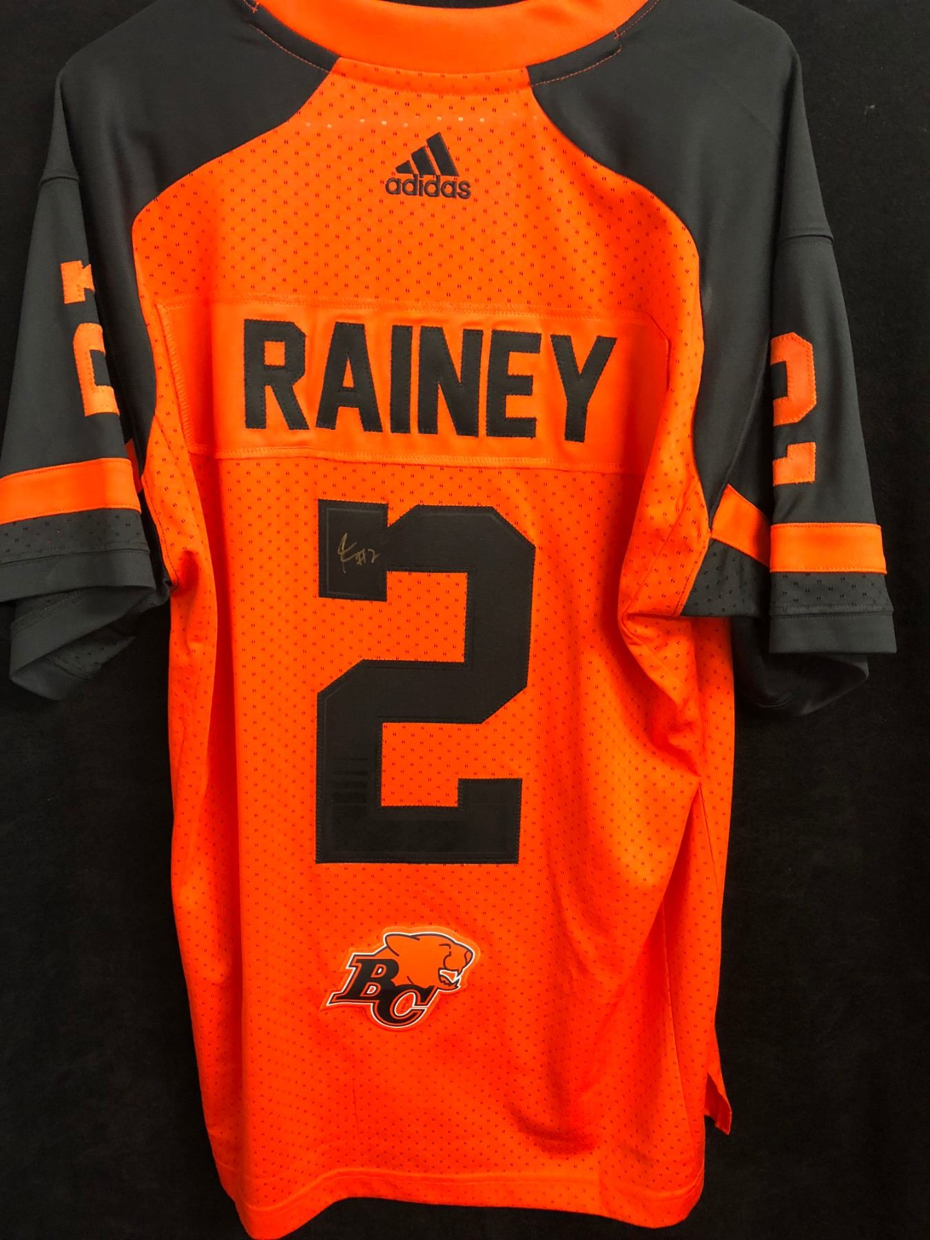 Buy lions jersey Clearance