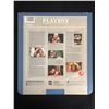 Image 2 : PLAYBOY THE MOVIE LASERDISC
