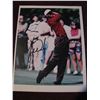 Image 4 : 4 SIGNED TIGER WOODS PICTURES EACH 8" X 10"