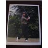Image 5 : 4 SIGNED TIGER WOODS PICTURES EACH 8" X 10"
