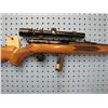 Image 2 : g044... Squires & Birmingham model 70 semi-auto 22 long rifle with scope