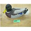 Image 1 : DU Mallard