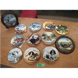 Lot of 12 Collector Plates