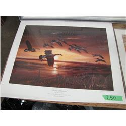 "Sunset Silhouettes" by John C Green