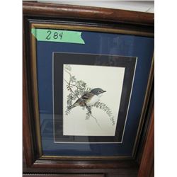 Solitary Vireo Print