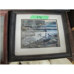 Loons on a Lake Print