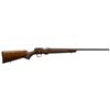 Image 1 : CZ 457 AMERICAN 22WMR WLNT 5RD