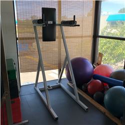 HANGING LEG RAISE/DIP BENCH