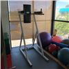 Image 1 : HANGING LEG RAISE/DIP BENCH