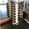 Image 1 : SELF STANDING DUMBBELL RACK WITH WEIGHTS