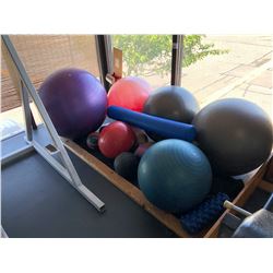 LOT OF ASSORTED EXERCISE BALLS/MEDICINE BALLS, BALANCE PLATFORMS AND MORE