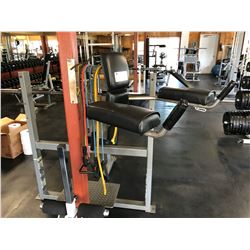 POST MOUNTED ABDOMINAL/LEG UP MACHINE WITH BANDS