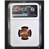 Image 7 : 5-NGC GRADED MS-67 RED LINCOLN CENTS: