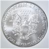Image 3 : 2010 AM. SILVER EAGLE OBCS