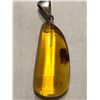 Image 1 : Amber Sterling Silver Pendant Filled with a Very Large Insect Total Weight is 6 Grams