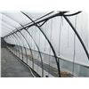Image 2 : GREENHOUSE 13: 95' X 20' HARNOIS GREENHOUSE, 10' TALL AT PEAK, ONE END WALL ONLY, INCLUDES ATTACHED