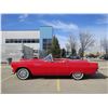 Image 9 : 1955 FORD THUNDERBIRD CONVERTIBLE ROADSTER