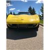 Image 8 : 1979 CHEVROLET CORVETTE L82