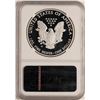 Image 2 : 2010-W $1 Proof American Silver Eagle Coin NGC PF70 Ultra Cameo