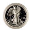 Image 1 : 1999 $1 Proof American Silver Eagle Coin