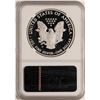 Image 2 : 2010-W $1 Proof American Silver Eagle Coin NGC PF70 Ultra Cameo