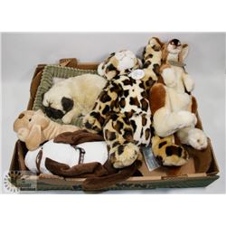 FLAT OF STUFFIES AND PUPPETS.