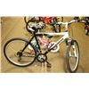 Image 1 : NAKAMURA COSMOS ADULT BIKE