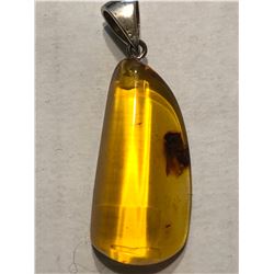 Amber Sterling Silver Pendant Filled with a Very Large Insect Total Weight is 6 Grams