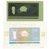 Image 1 : Banco Central De Honduras Unique Undertint Obverse Printing Plate With Printed Undertint.