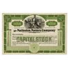 Image 1 : Maibohm Motors Co., ca.1916-1922, Proof Stock Certificate.