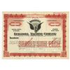 Image 1 : Bergdoll Machine Co., ca. 1900-1920 Specimen Stock Certificate