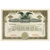 Image 1 : American Eagle Aircraft Corp. of Delaware, 1910-1940 Specimen Stock Certificate