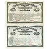 Image 1 : Chemical National Bank of New York, 1900-1910 Specimen Stock Certificate Pair.