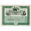 Image 1 : Havana-Washington Fruit Co. 1907 Specimen Stock Certificate.