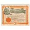 Image 1 : Chisna Consolidated Mines Co., 1907 (Alaska Location) Share Certificate