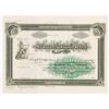 Image 1 : Michigan Alkali Co., 1900-1910 Production Specimen Stock Certificate