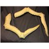 Image 1 : Gremlins 2 - Spider Gremlin puppet unfinished legs