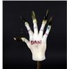 Image 1 : Beauty and the Beast - Dan Stevens Beast Hand with Claws DIsplay (0008)