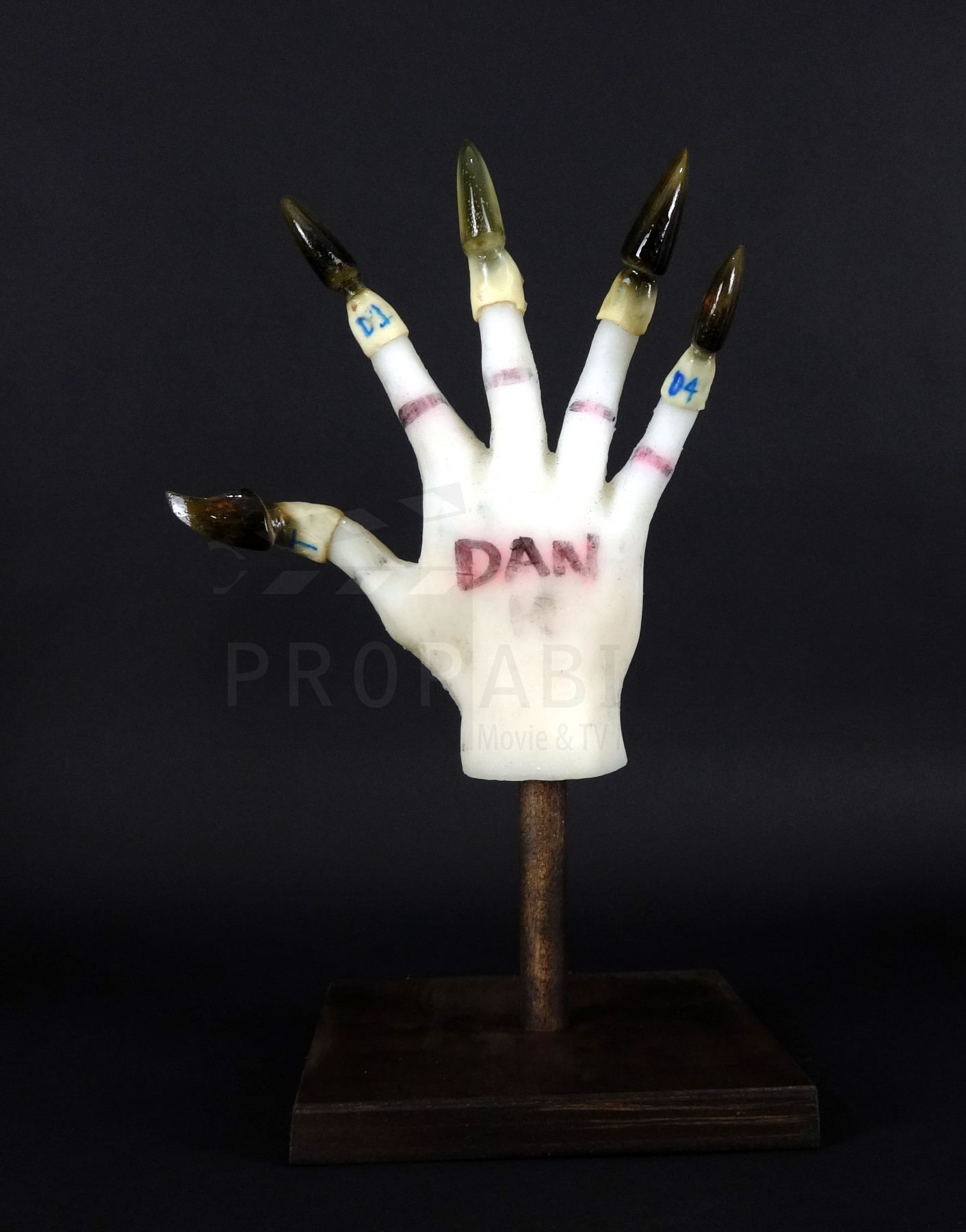 Beast Hand Pinterest Beauty and the Beast - Dan Stevens Beast Hand with Claws DIsplay (0008)