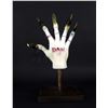 Image 2 : Beauty and the Beast - Dan Stevens Beast Hand with Claws DIsplay (0008)