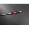 Image 2 : Shadowhunters - Alec Lightwood's Arrow (0051)