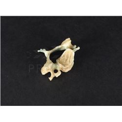 Bones - Toxic Waste Victim's Bone Prop from the Fox TV Series (0630)